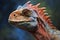 Portrait of the head of a red iguana close-up