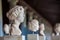 Portrait heads at the Stoa of Attalos in Athens