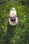 Portrait healthy purebred cute pug outdoors in nature on a sunny day.