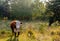 Portrait of a Hereford cow walking in a Dutch nature reserve