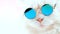 Portrait of highland straight fluffy cat with long hair and round sunglasses. Fashion, style, cool animal concept