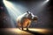 portrait of hippopotamus like a dancer on stage under the floodlights from above