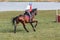 Portrait of Horse gallop during eventing competition