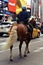 Portrait of horse Mounted Policeman patrolling city street