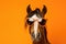 Portrait Horse With Sunglasses Orange Background