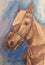 Portrait of a horse in a watercolor style.