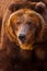 A portrait of a huge bear in the whole frame, the beast is huge and illuminated by the sun. Huge powerful brown bear