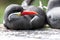 Portrait of an Inca Tern