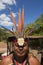 Portrait of Indigenous man wearing a hat made of feathers and ca