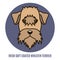 Portrait of Irish Soft Coated Wheaten Terrier. Vector illustrati