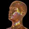 Portrait iron man head stylized metallic golden colorful reflection