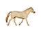 Portrait Isolated Picture of Large Horse Galloping