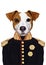 Portrait Jack Russell of in military uniform.