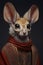 portrait of jerboa in human clothes on dark background