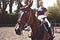 Portrait Jockey girl next to a horse, riding, concept of advertising an equestrian club, preparing for jumps. Summer. Toning