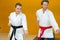 portrait karate couple doing exercise