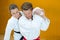 portrait karate couple fighting