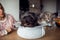 Portrait of kern terrier sitting in felt basket at home, on table and looking into camera. Home life. Positive.