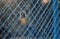 Portrait of key lock hook on iron wire gates and water drop of rain with blur background,selective focus,filtered image