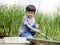 Portrait of  Kid boy catching creatures in pond with net in summer time, Selective focus of Child explorer and learning about wild