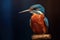 Portrait kingfisher bird on black isolated background with Ai Generated