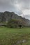 Portrait with Koa tree and mountain cliffs near Kualoa Ranch, Oahu, Hawaii, USA