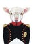 Portrait of Lamb n military uniform.