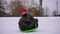 Portrait of laughing relaxed teen boy sitting on green sled on white snow looking at camera. Wide shot front view
