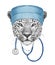 Portrait of Leopard with doctor cap and stethoscope. Hand-drawn illustration.