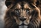 Portrait lion on the black. Detail face lion. Hight quality portrait lion black background
