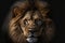 Portrait of a lion, digital illustration artwork, animals, wildlife