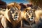 Portrait of lions lies on glass and looks forward. Generative Ai