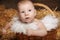 Portrait of little baby in woven basket on pile of straw background