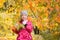 Portrait of a little beautiful girl in an autumn park. The child walks in the autumn forest