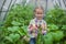 Portrait of little girl collects the crop onions