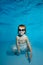 Portrait of a little girl under water at the bottom of the pool. She smiles and looks at the camera. Baby