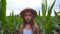 Portrait of little serious girl in straw hat looking into camera against the background of corn field at organic farm