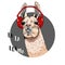 Portrait of a llama in red headphones