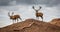 Portrait of majestic red deers stag in Autumn Fall