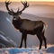 A portrait of a majestic stag, its antlers silhouetted against the setting sun3