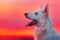 Portrait of a Majestic White Dog Against Vivid Sunset Sky, Vibrant Nature Background