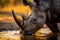 Portrait of Majestic Wild Rhino drinking water at sunset. Amazing African Wildlife. Generative Ai