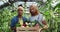 Portrait of male and female farmers holding box of colourful vegetables and greenery. Diverse man and woman raising head