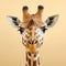 Portrait of a male reticulated giraffe against a beige background. Generative AI
