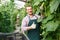 Portrait of man horticulturist in apron and gloves picking marrows