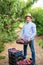 Portrait of man horticulturist showing crate with harvest of peaches in garden