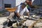 Portrait of man laying new sidewalk, Spain