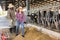 Portrait of man and woman working on a livestock farm