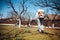 Portrait of man worker wearing protective clothing and spraying industrial pesticide in fruit orchard