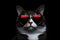 Portrait Manx Cat With Heart Shaped Sunglasses Black Background